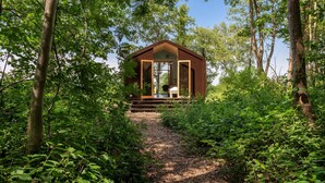 Una cabaña de madera ubicada en un bosque, rodeada de vegetación densa.