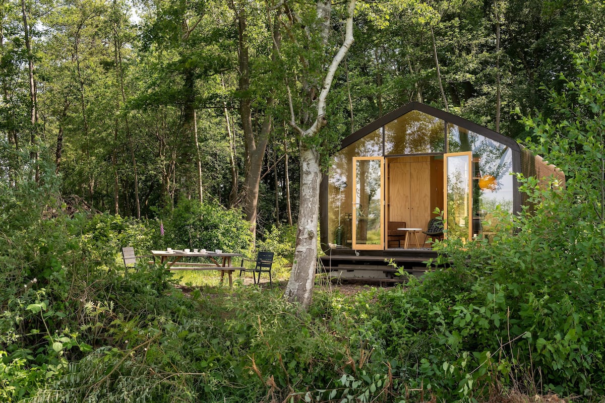 Una cabaña de madera con puerta de cristal, rodeada de un bosque denso.