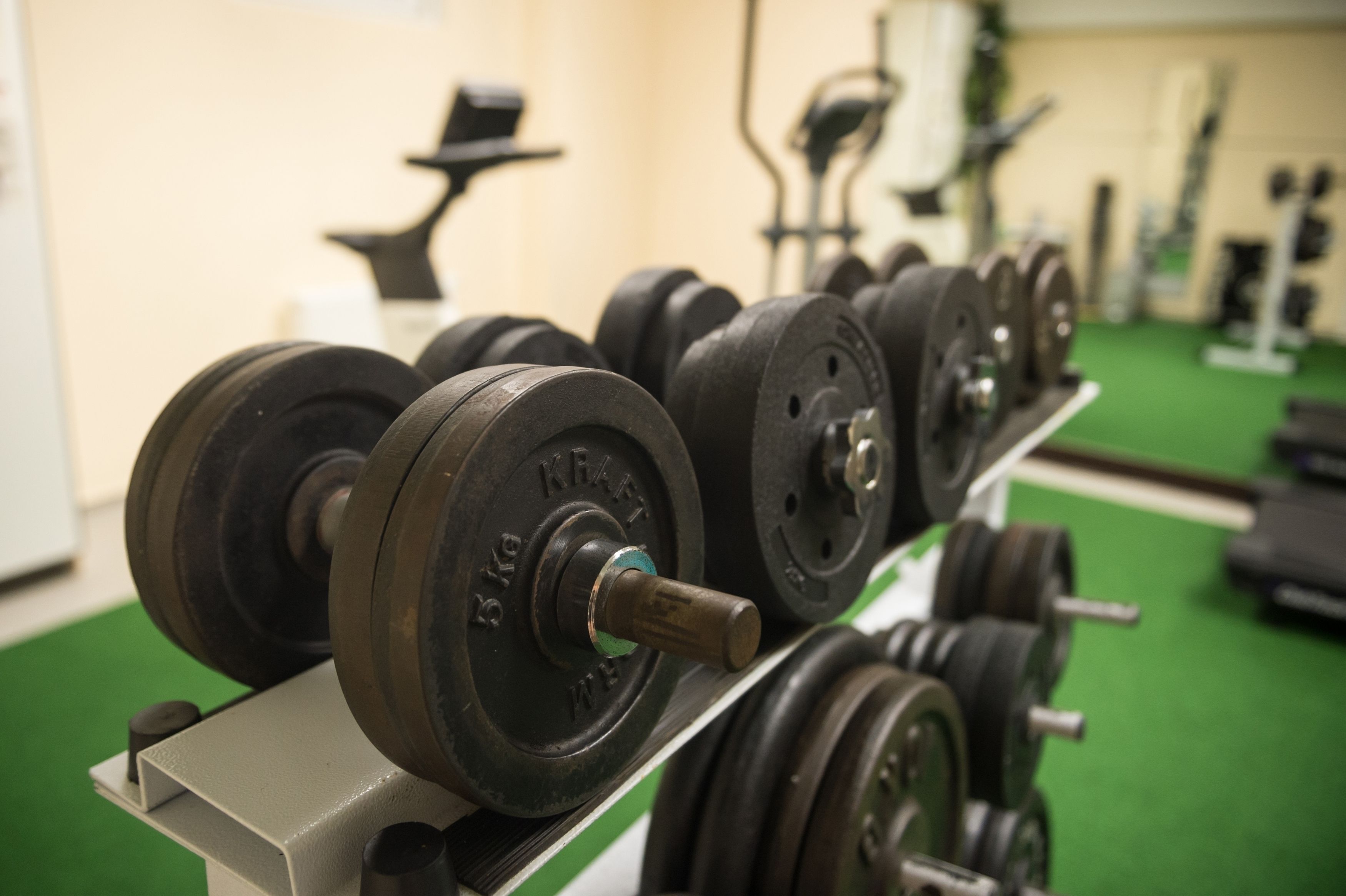 Una hilera de pesas en un estante en un gimnasio.