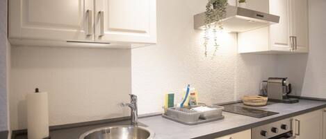 A kitchen with a stainless steel sink, a stove, and cabinets. There is a plant hanging from the ceiling, and various kitchen items on the countertop.