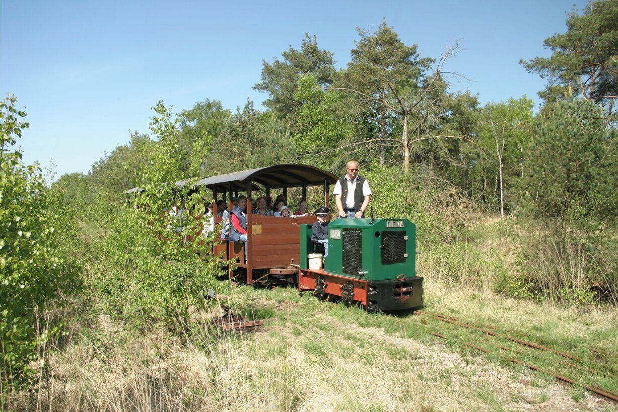 A small green train with passengers, moving along a narrow track surrounded by greenery.