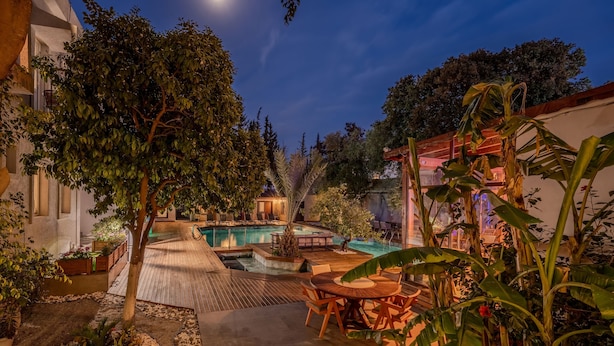 A pool area with a wooden deck, surrounded by tropical plants and a small tree.