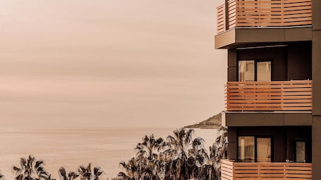 Diseño del edificio. Ananea Kleopatra Beach (+12 Adults Only)