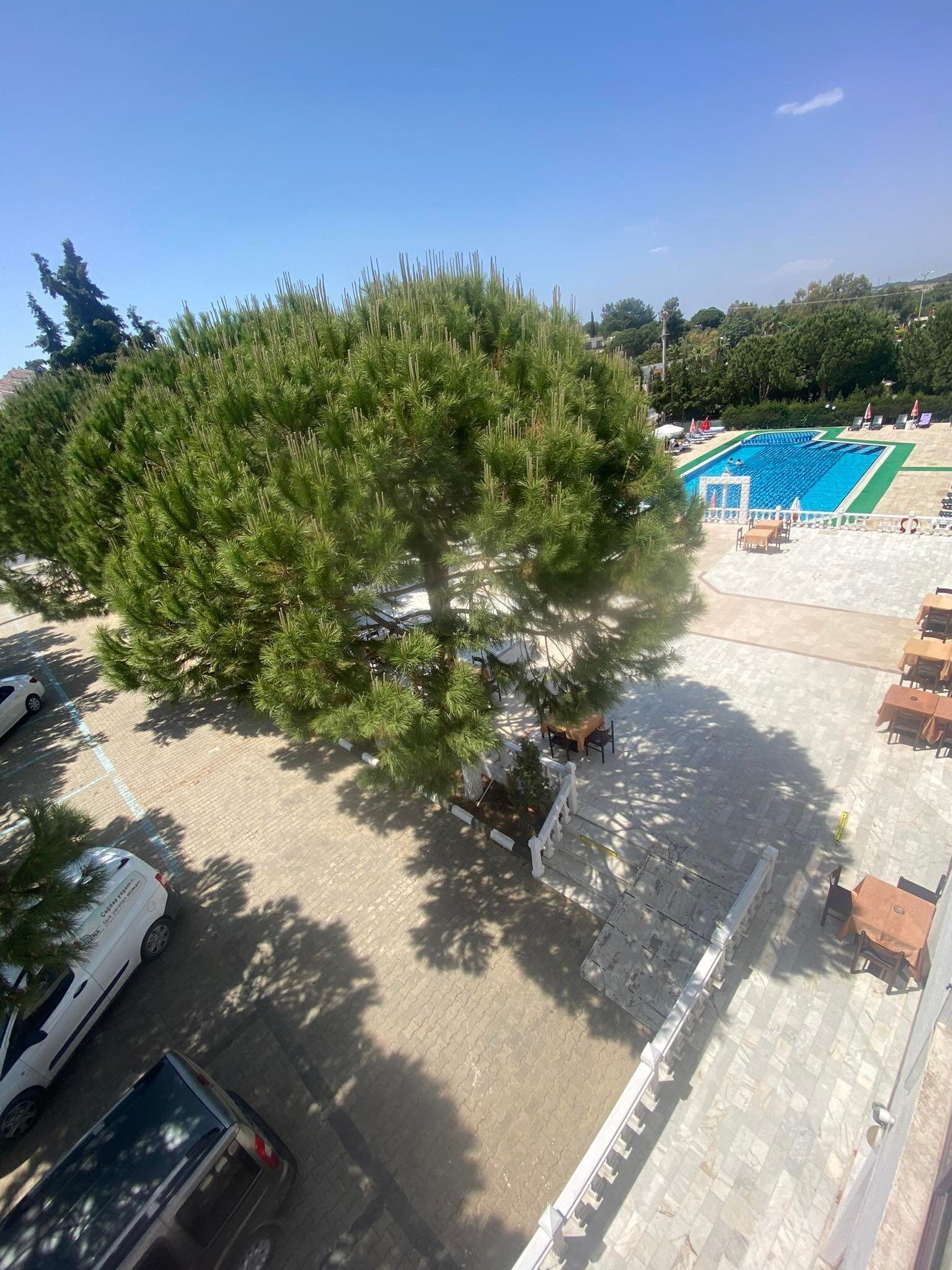 Foto - palm club apart otel