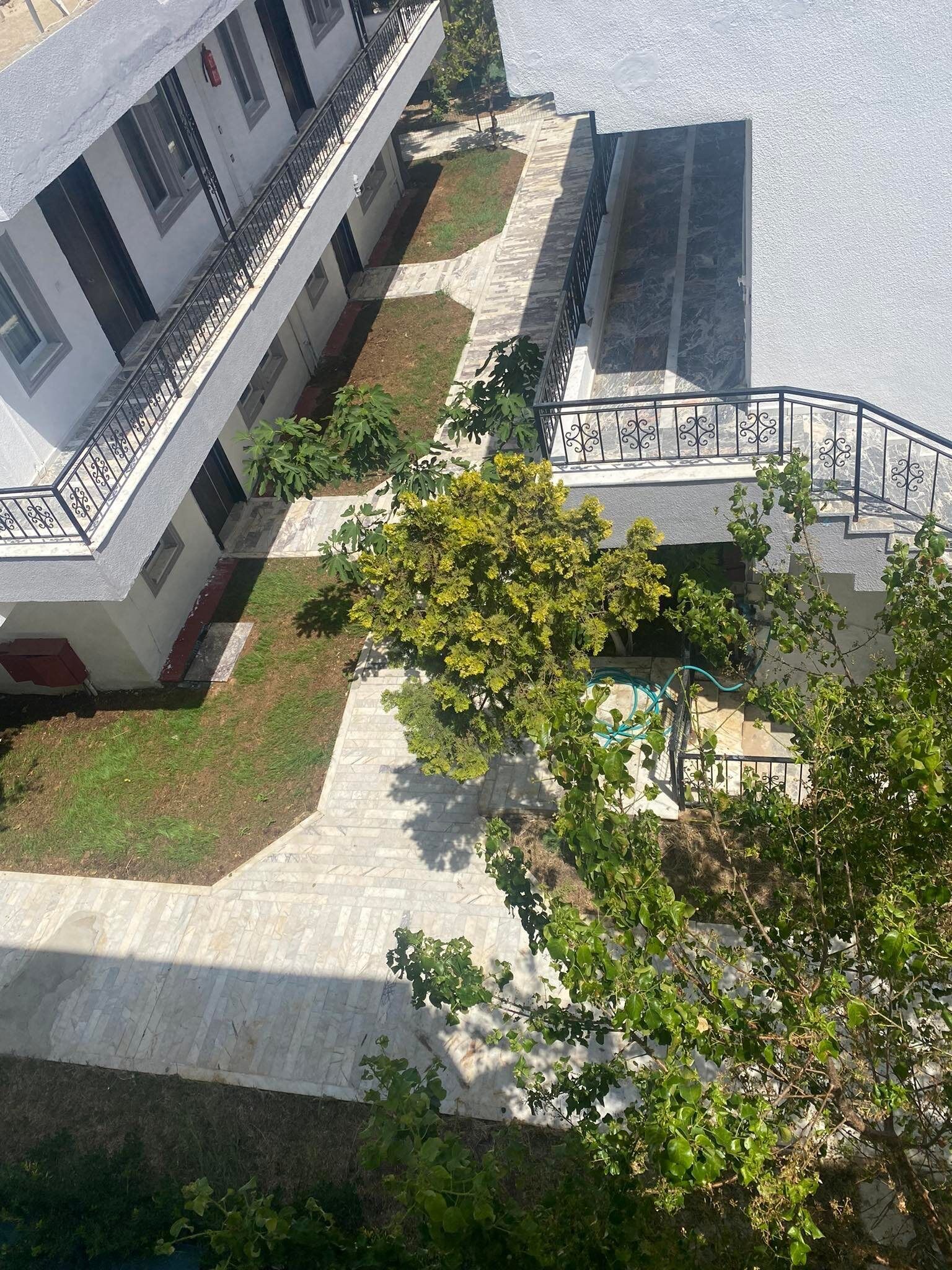 Un patio central con un árbol, rodeado de edificios con balcones y una zona cubierta.