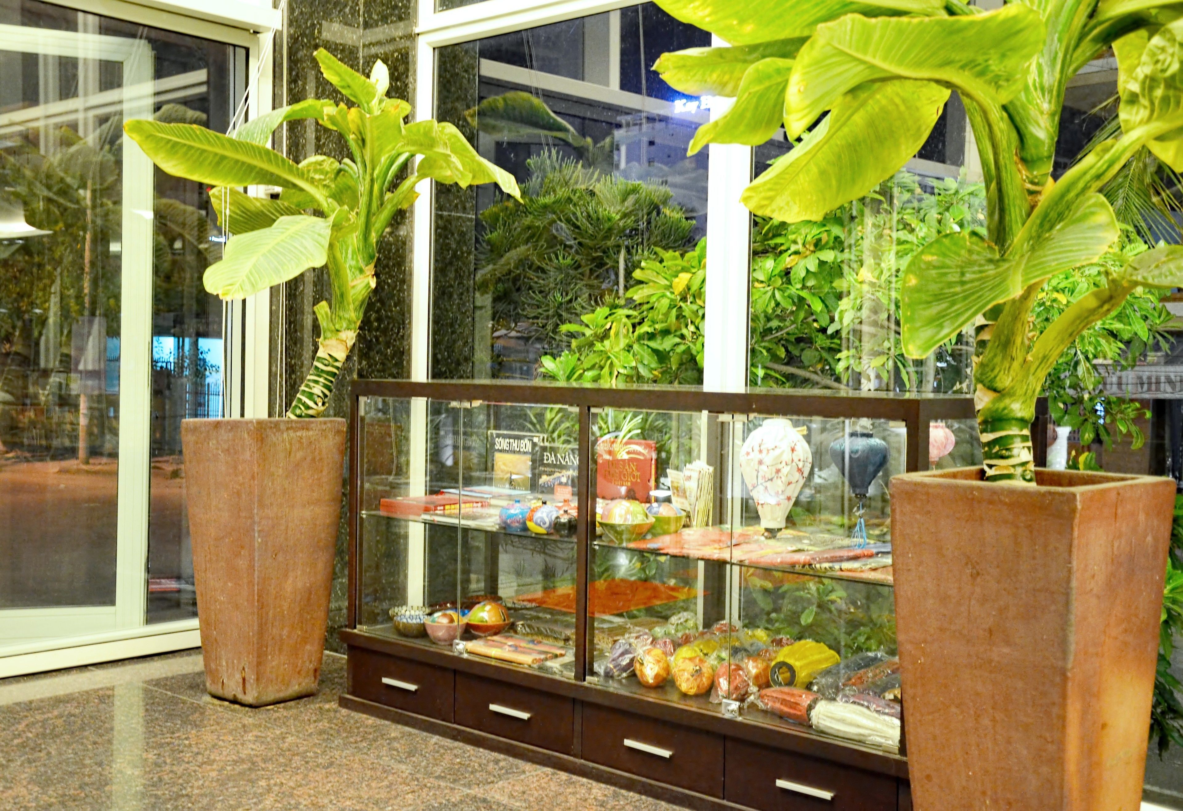 A display case with various food items, surrounded by large potted plants.