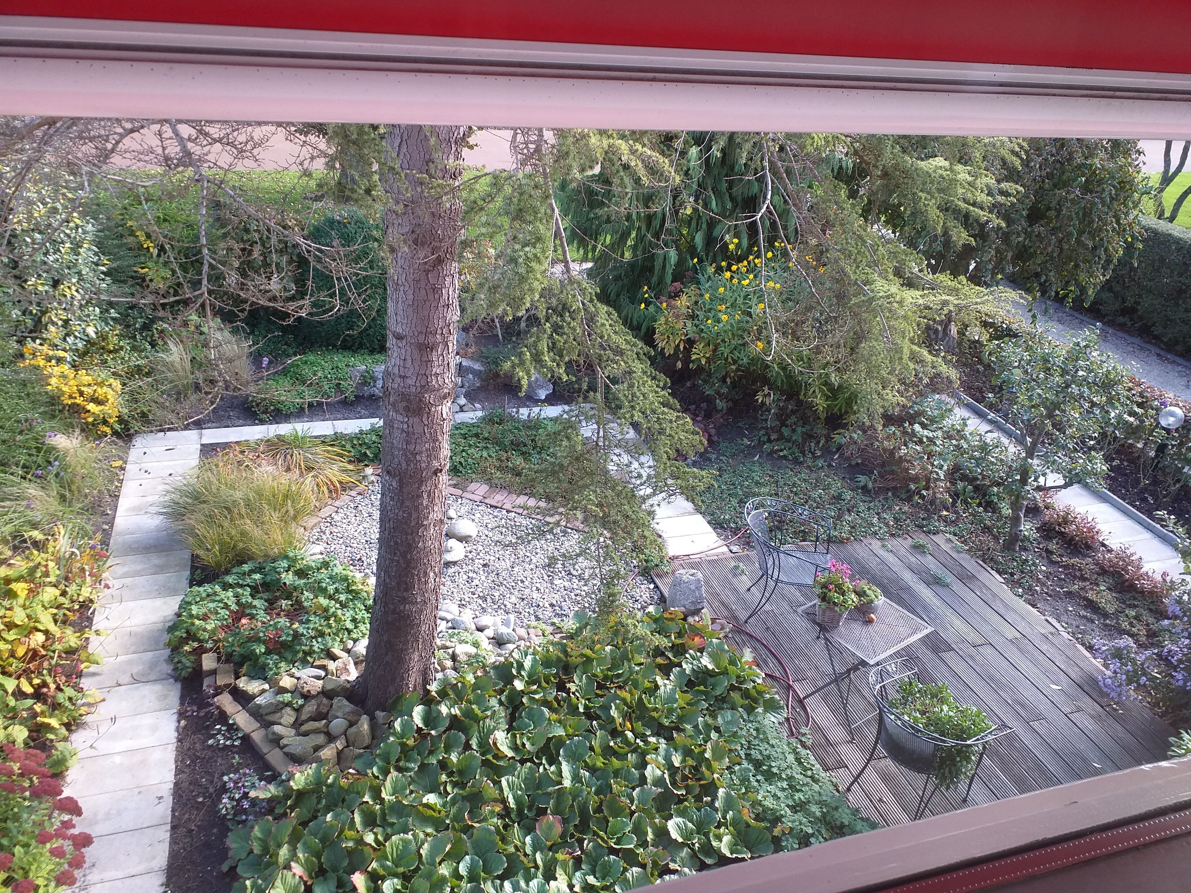 Uitzicht op de tuin