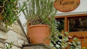 Exterior detail - Kritsa Gastronomy Hotel (Volos)
