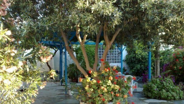 Ein Garten mit einem Steinpflanzbeet voller blühender Pflanzen, einer blauen Pergola und verschiedenen Bäumen und Sträuchern.