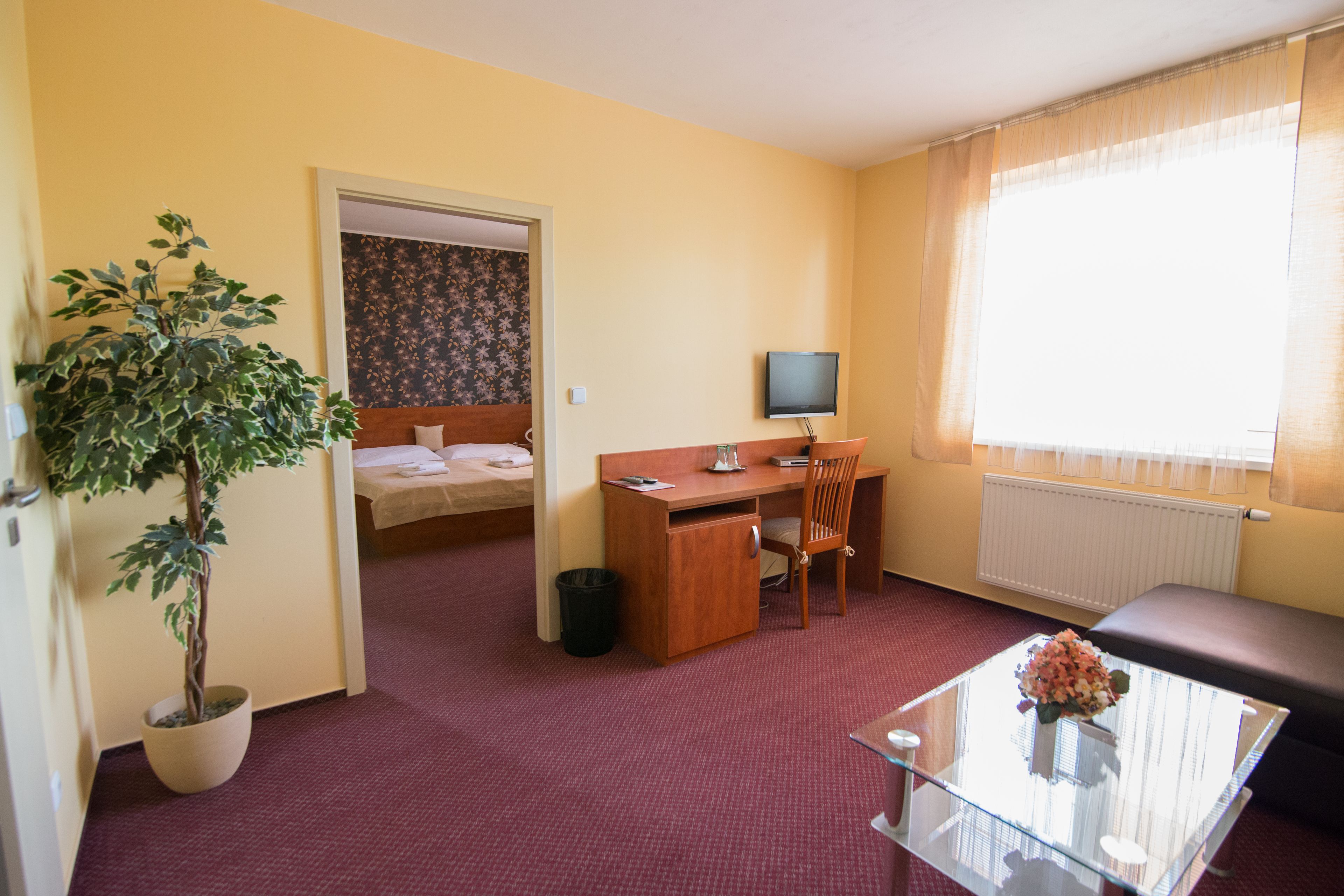A hotel room with a bed, a desk, a chair, a TV, a potted plant, and a window with curtains.