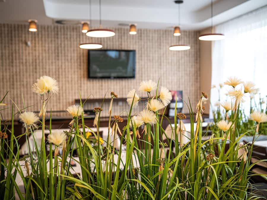 Frühstück, Mittagessen, Abendessen, osteuropäische Küche