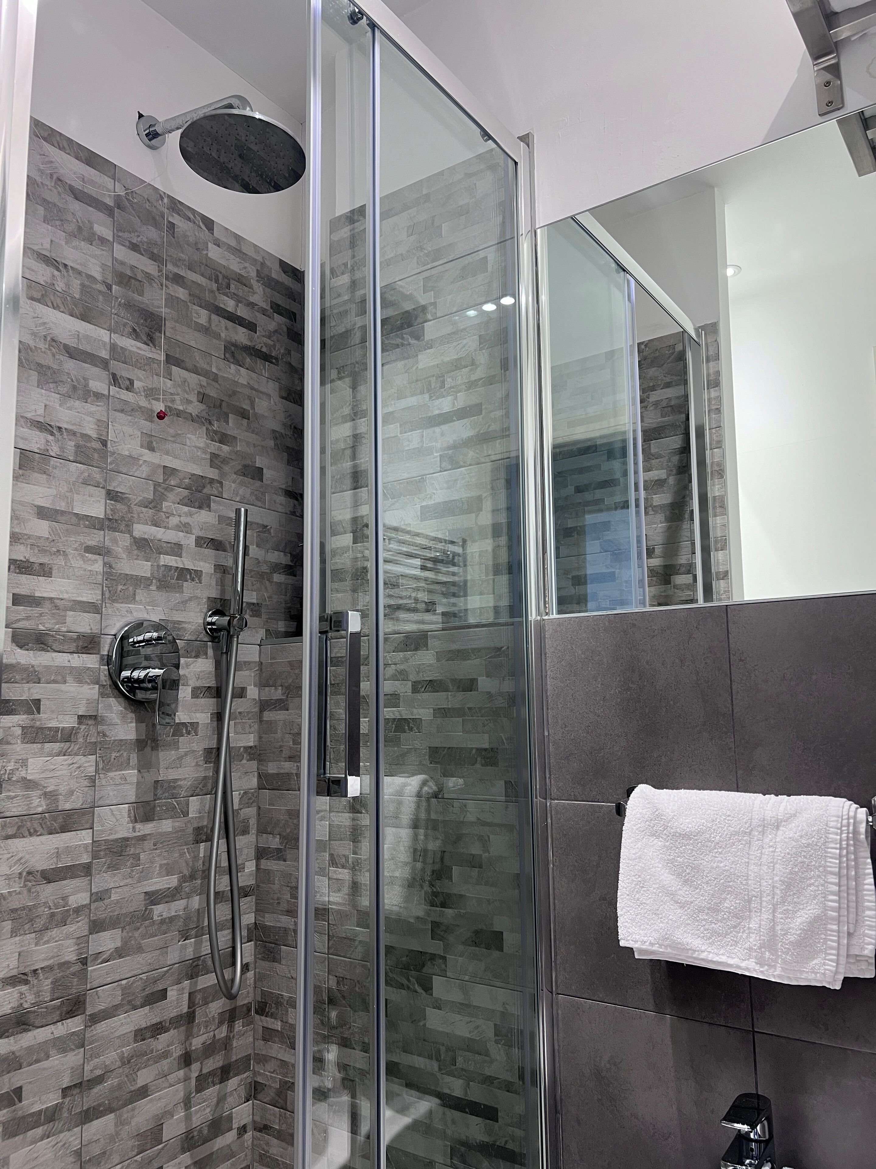 A modern shower with a glass door, a handheld showerhead, and a wall-mounted control panel.