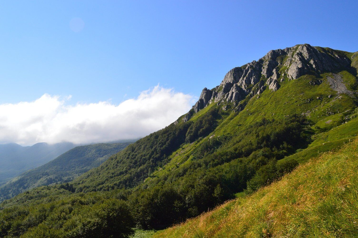 Eine gebirgige Landschaft mit üppiger grüner Vegetation und steilen Felswänden.
