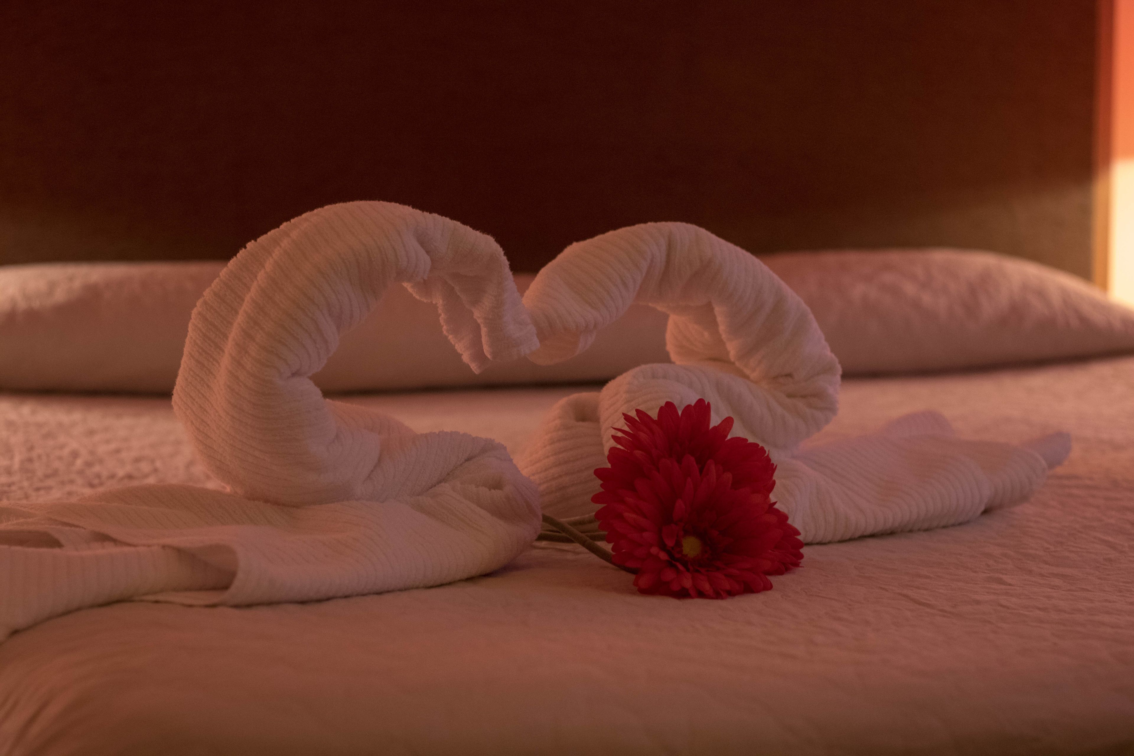 superior double or twin room | in-room safe, free wifi, bed sheets, wheelchair access