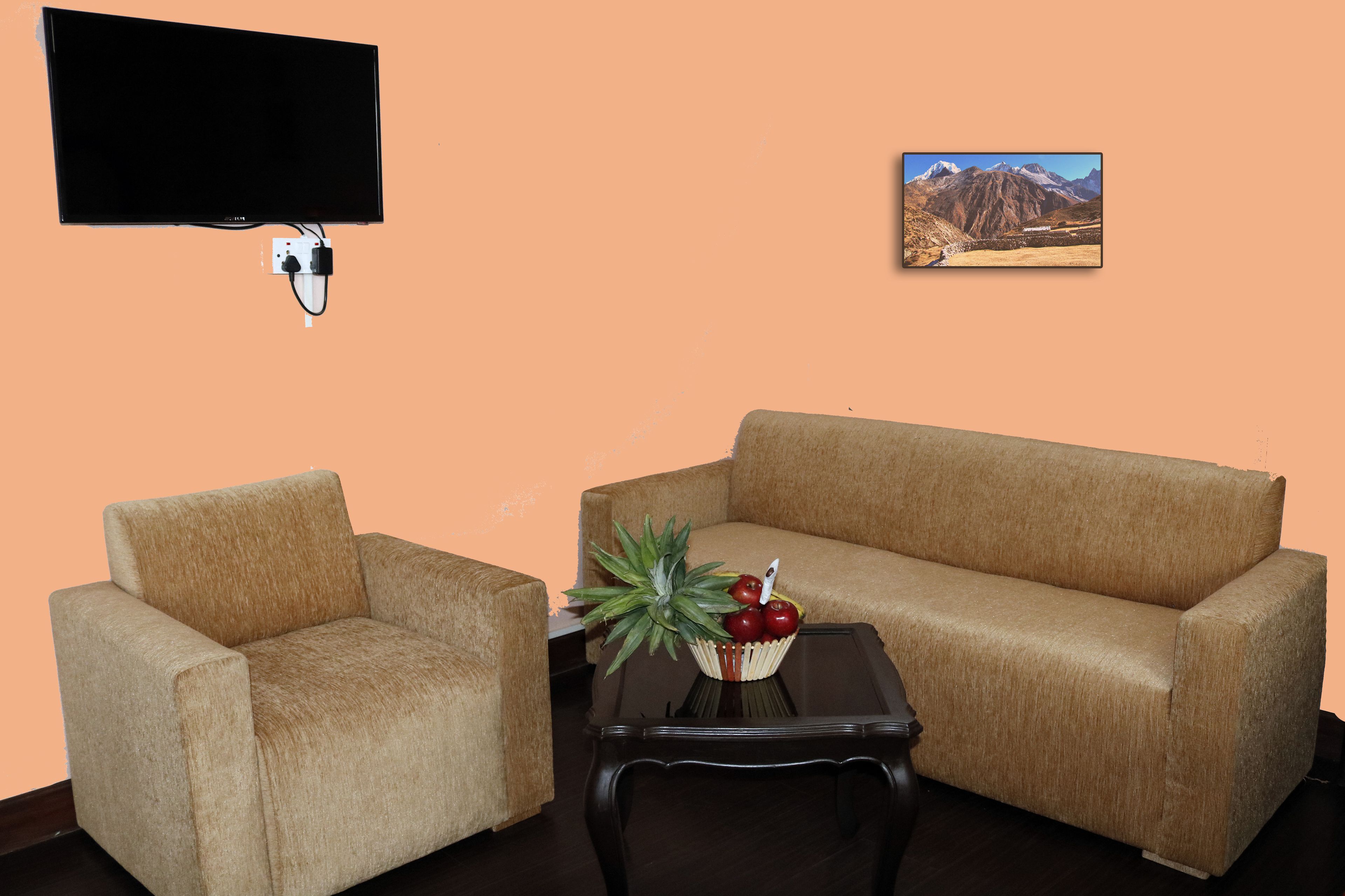 deluxe double room | television