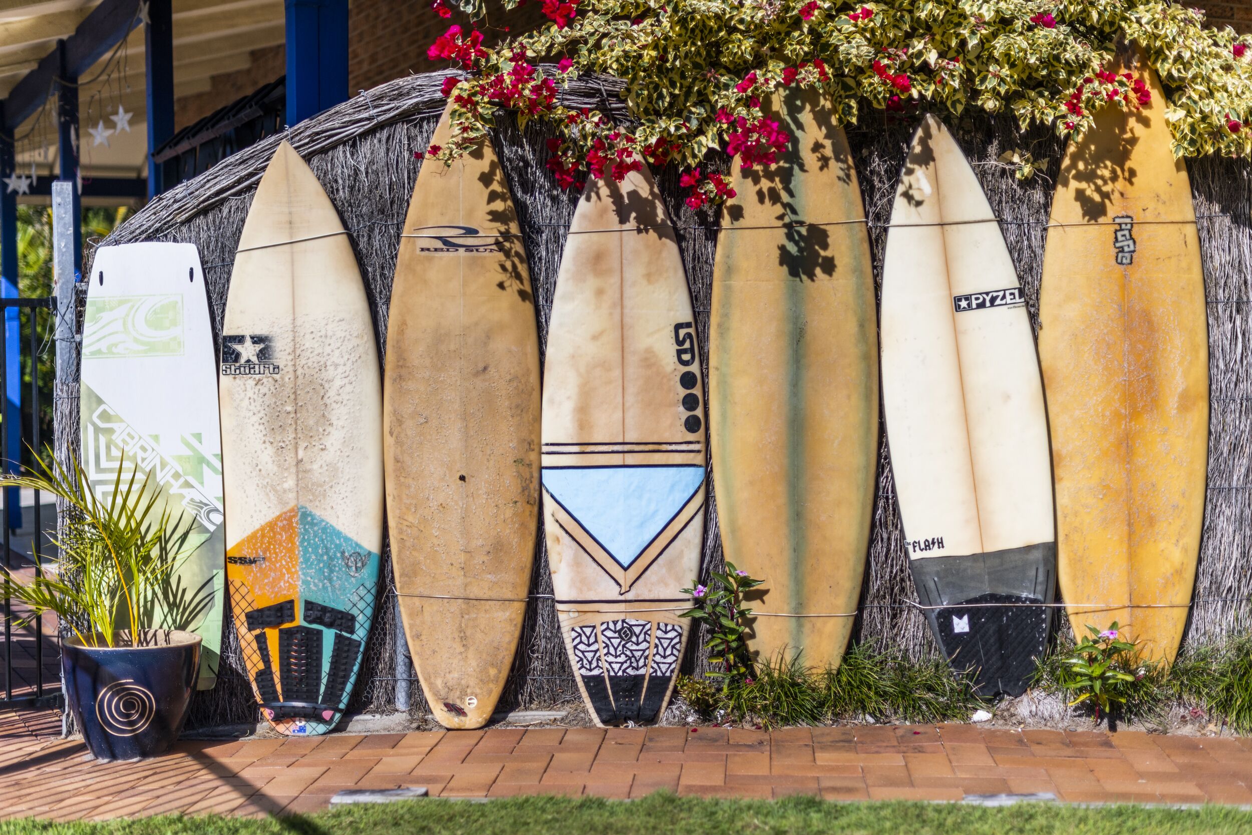 A row of surfboards leaning against a wall, each with unique designs and logos.