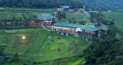 Destiny - The Farm Resort