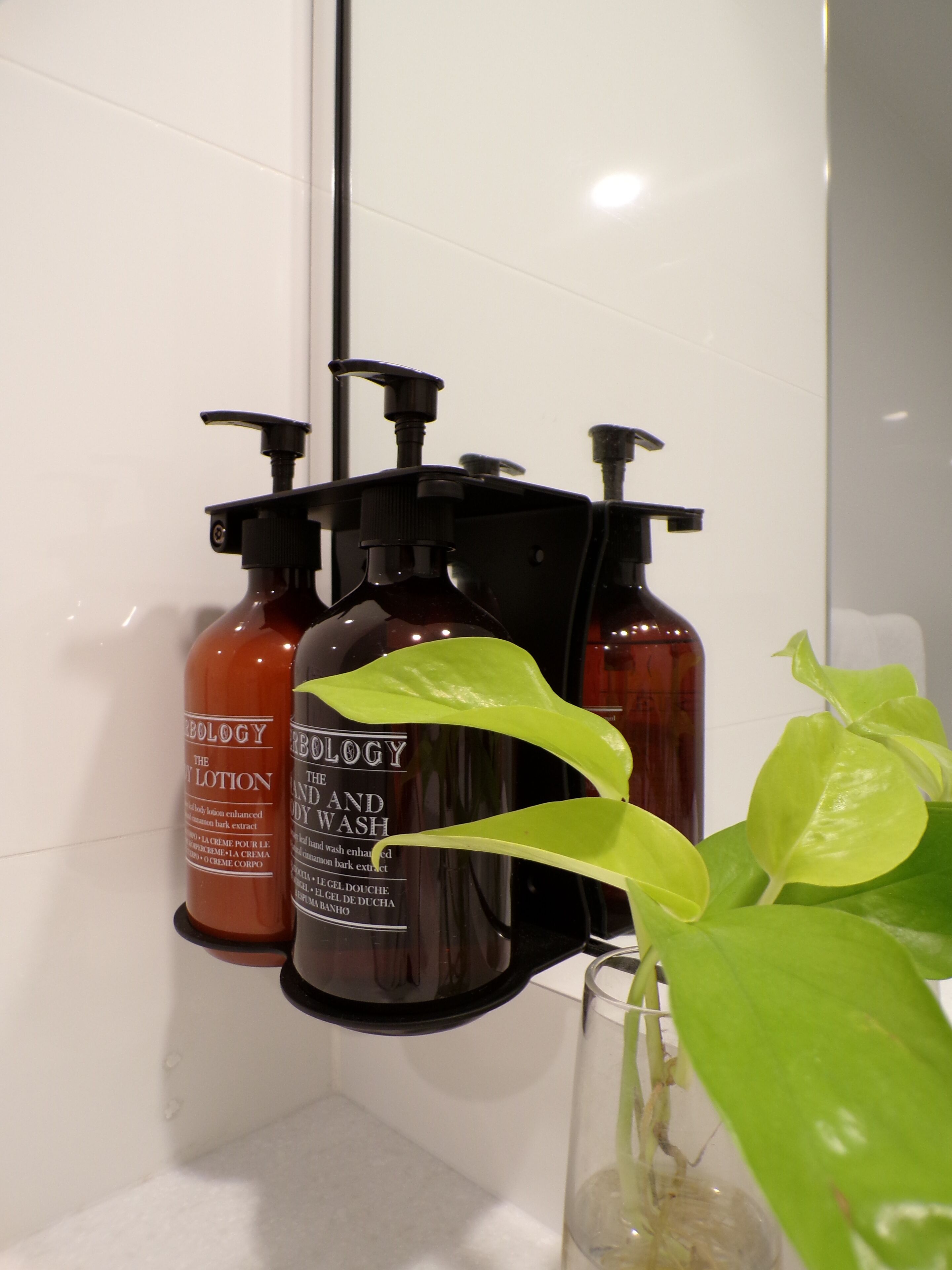 A bathroom with two bottles of body lotion and a plant in a glass vase.