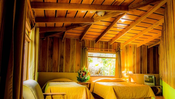 Habitación de cabaña de madera con dos camas, una silla, un televisor y una ventana con cortinas.