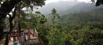 Wild Elephant Eco-Friendly Resort