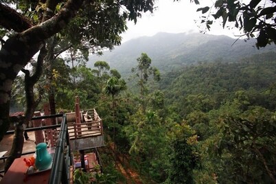 Wild Elephant Eco-Friendly Resort