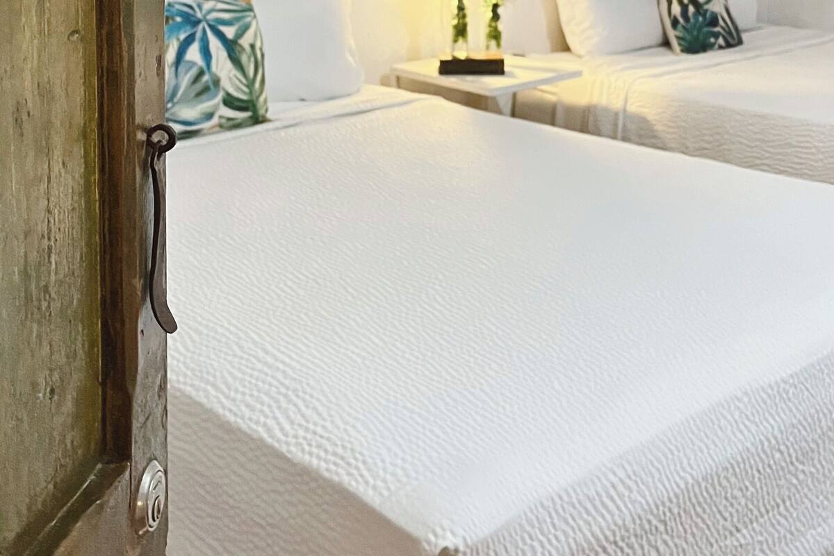 A room with two beds, a bedside table with a lamp, a wall-mounted shelf with potted plants, and a door with a handle.