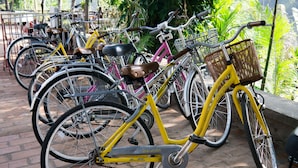 Varias bicicletas estacionadas al aire libre, posiblemente en un espacio público o compartido.