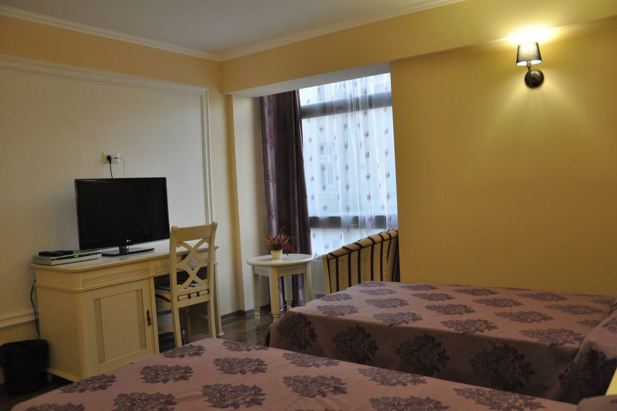 Ein Hotelzimmer mit zwei Betten, einem Schreibtisch mit Fernseher, einem Sessel, einem kleinen Tisch mit Pflanze und einem Fenster mit Vorhängen.