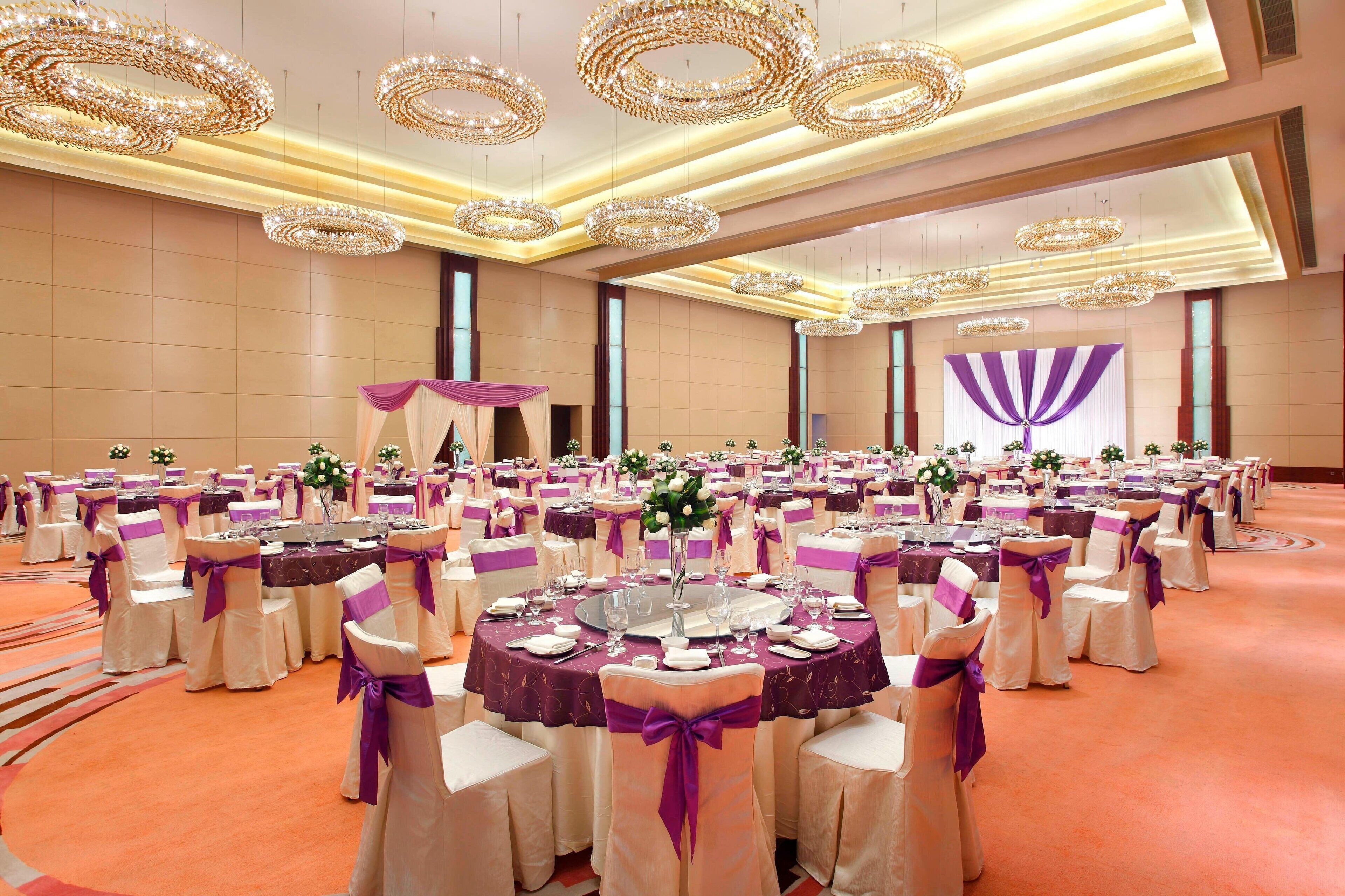 Una sala de banquetes amb taules rodones, cadires amb lligams de color morat i lampaderies.