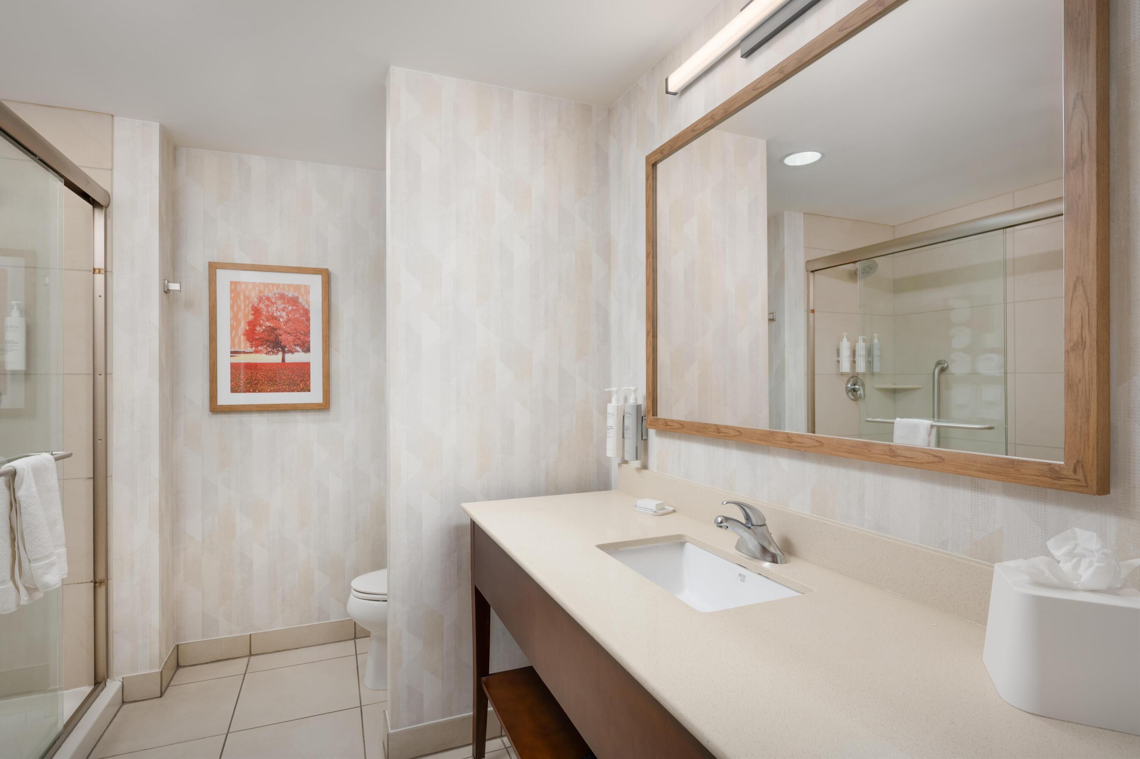 free toiletries, hair dryer, towels