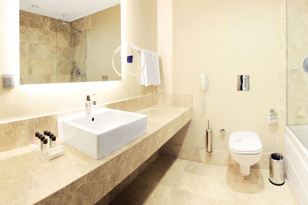 A modern bathroom with a large sink, a toilet, a shower, and a mirror.