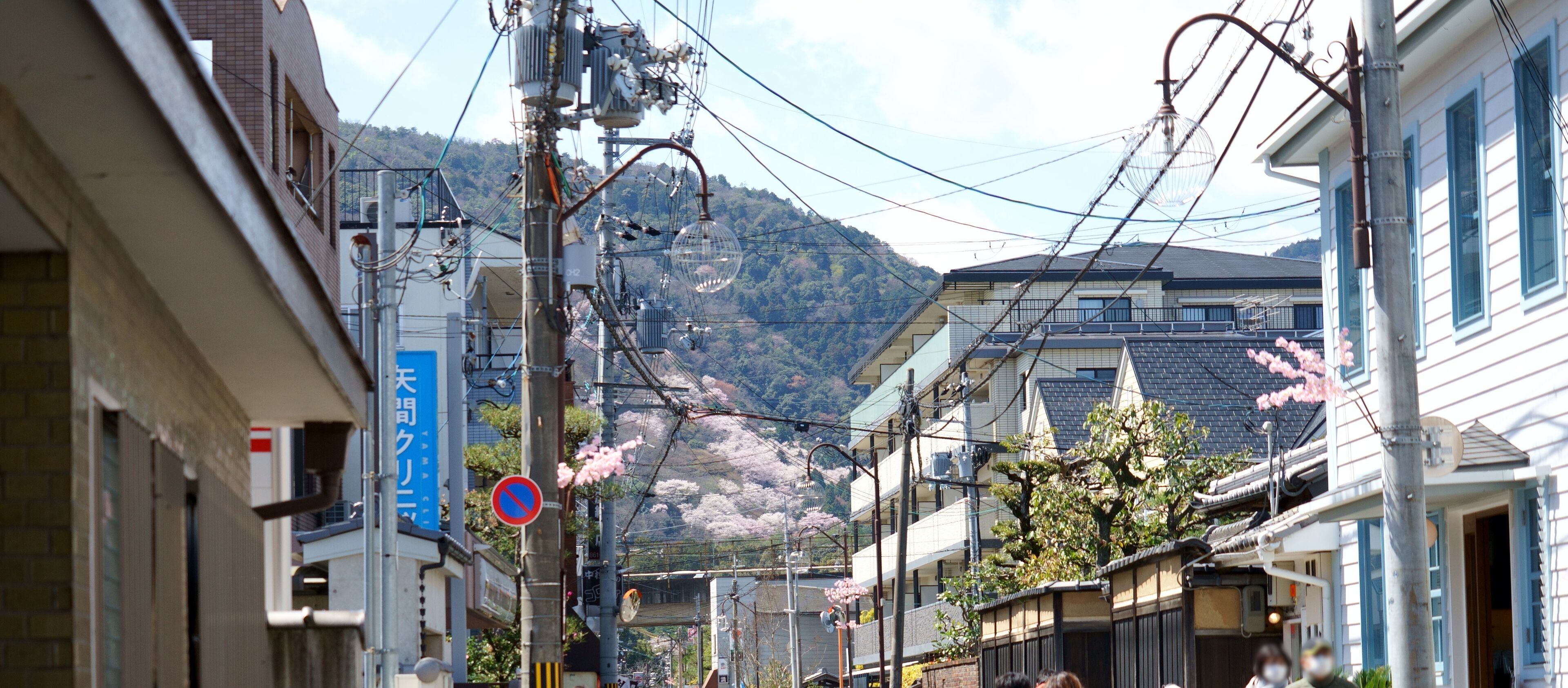 A street with traditional Japanese buildings, power lines, and cherry blossoms.