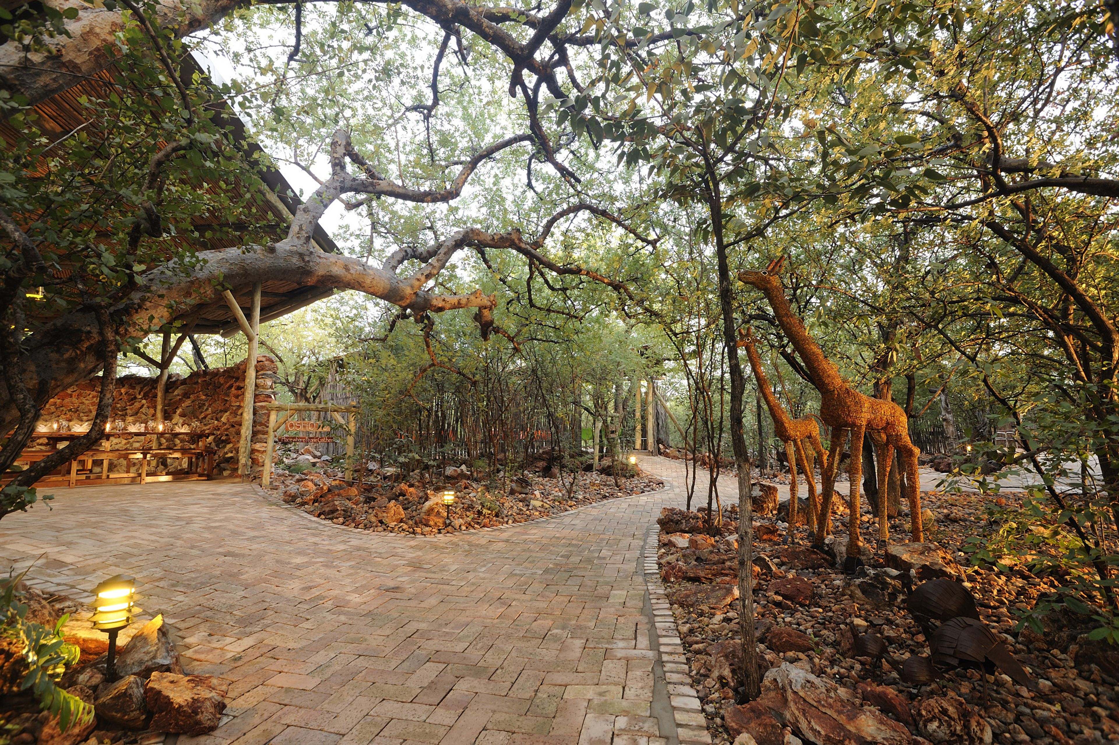 A paved pathway leading through a natural area with trees and rocks.