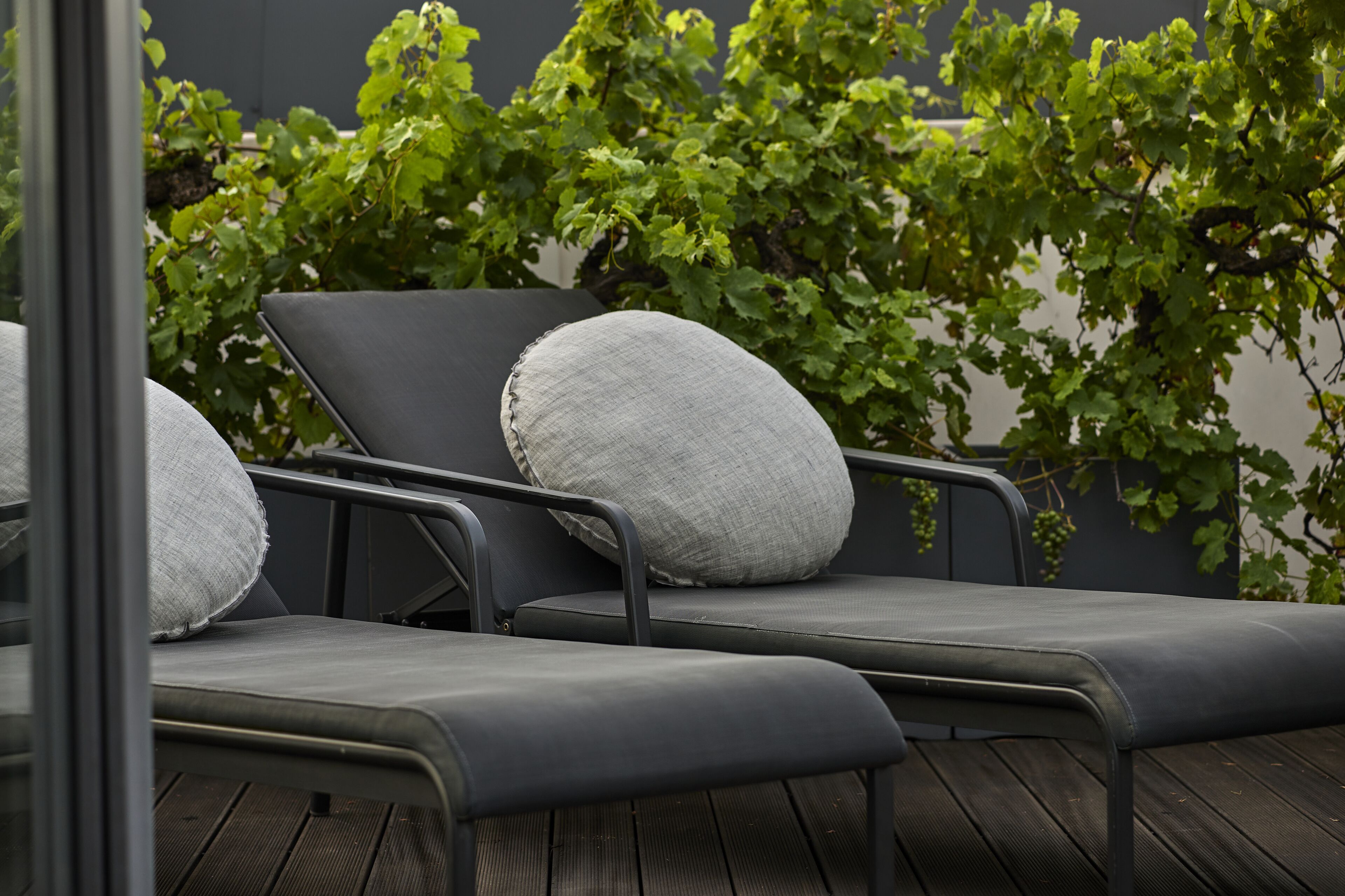 A row of black lounge chairs with grey cushions, positioned on a wooden deck, with a backdrop of green foliage.