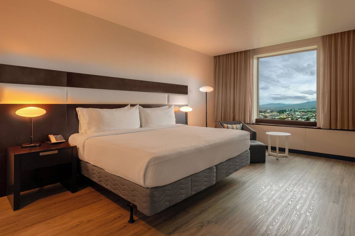 Deluxe Room, 1 Double Bed