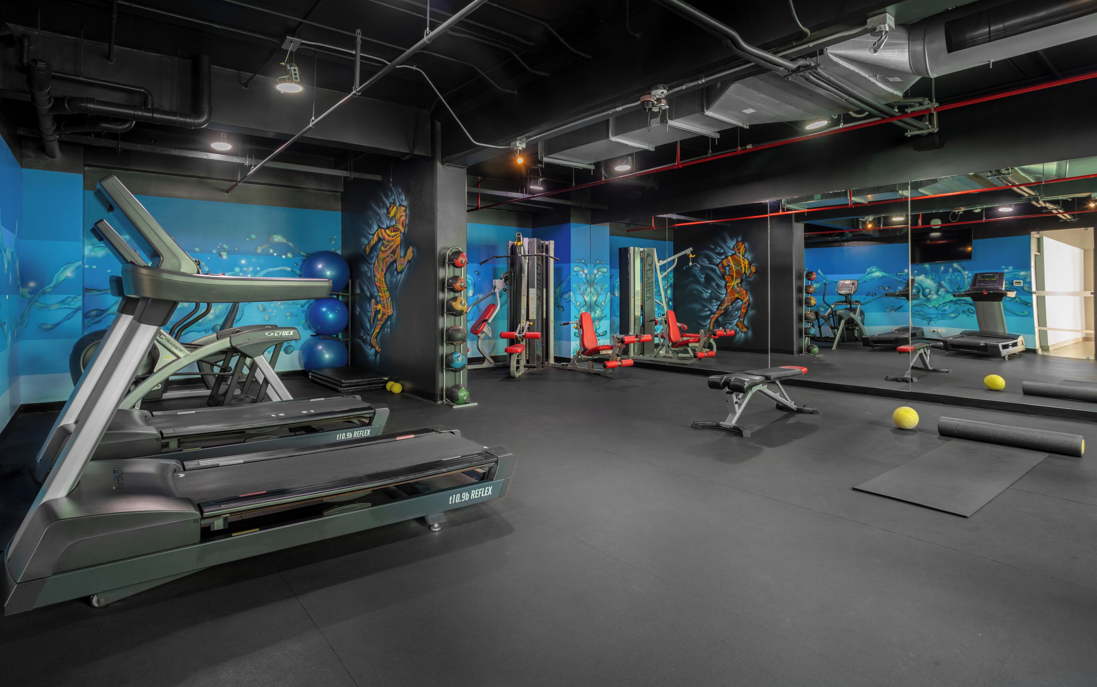 Gimnasio
