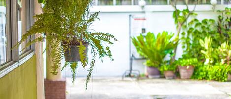 A covered outdoor area with hanging plants, a wooden bench, and a concrete floor.