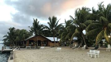 A beach with palm trees, a building with a sloped roof, and several white benches.