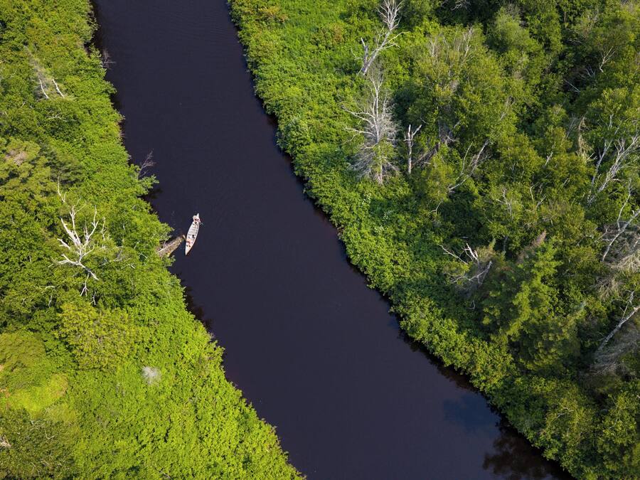 Vista aérea de un río serpenteando a través de un bosque denso.