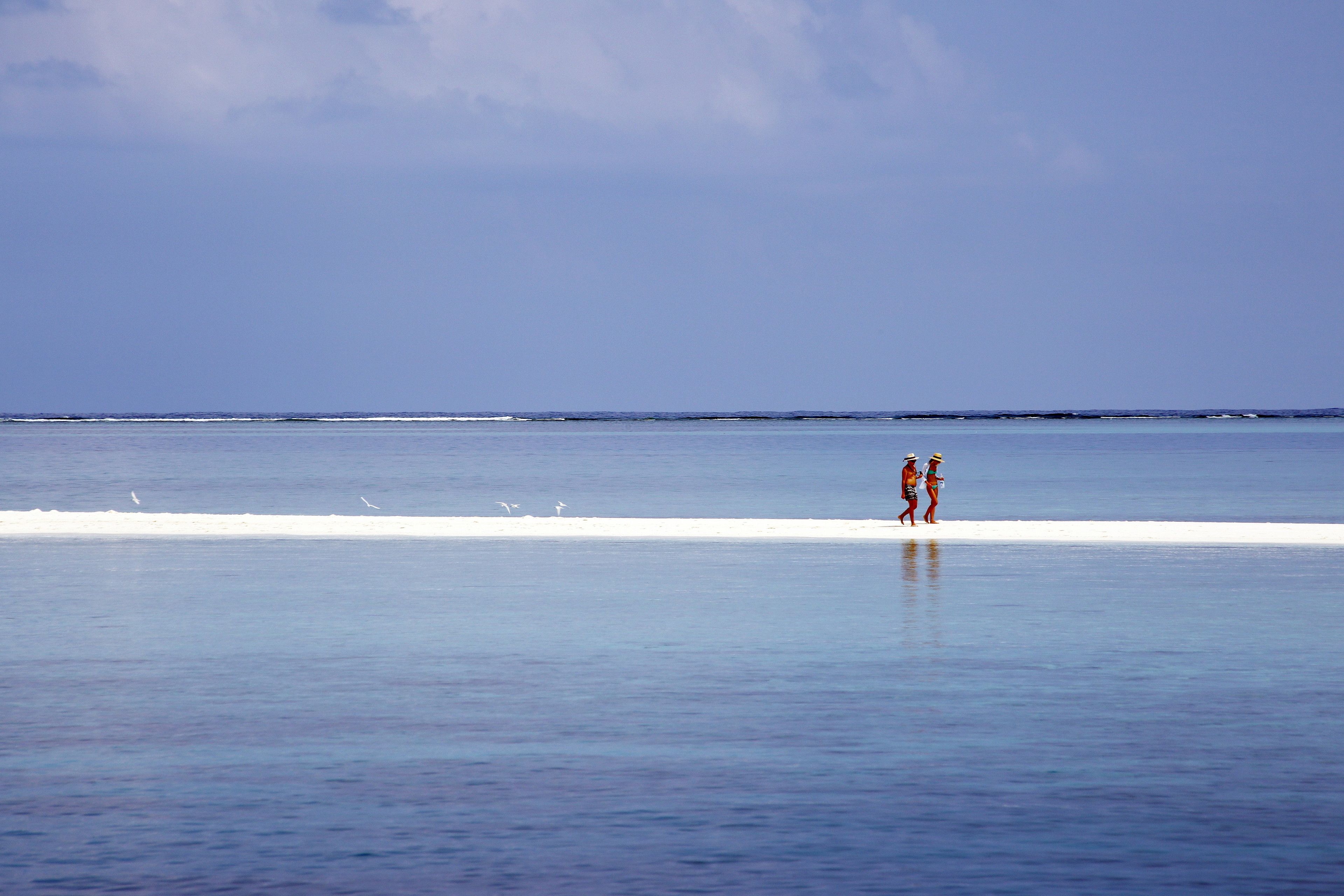 A beach with a clear sky and calm water.