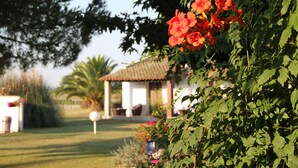 Un jardín con un quiosco, una palmera y un edificio blanco con techo de tejas.