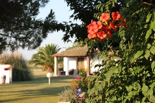 Un jardín con un quiosco, una palmera y un edificio blanco con techo de tejas.