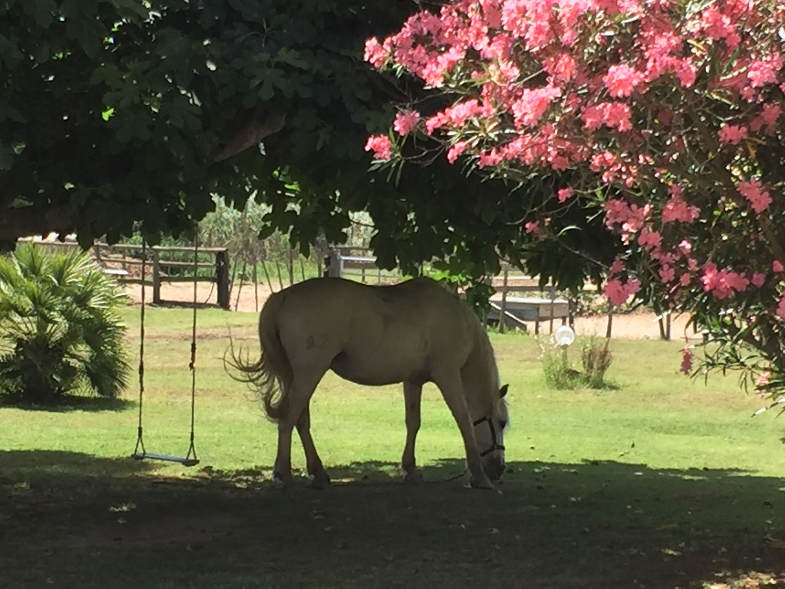 daily buffet breakfast (eur 18 per person)
