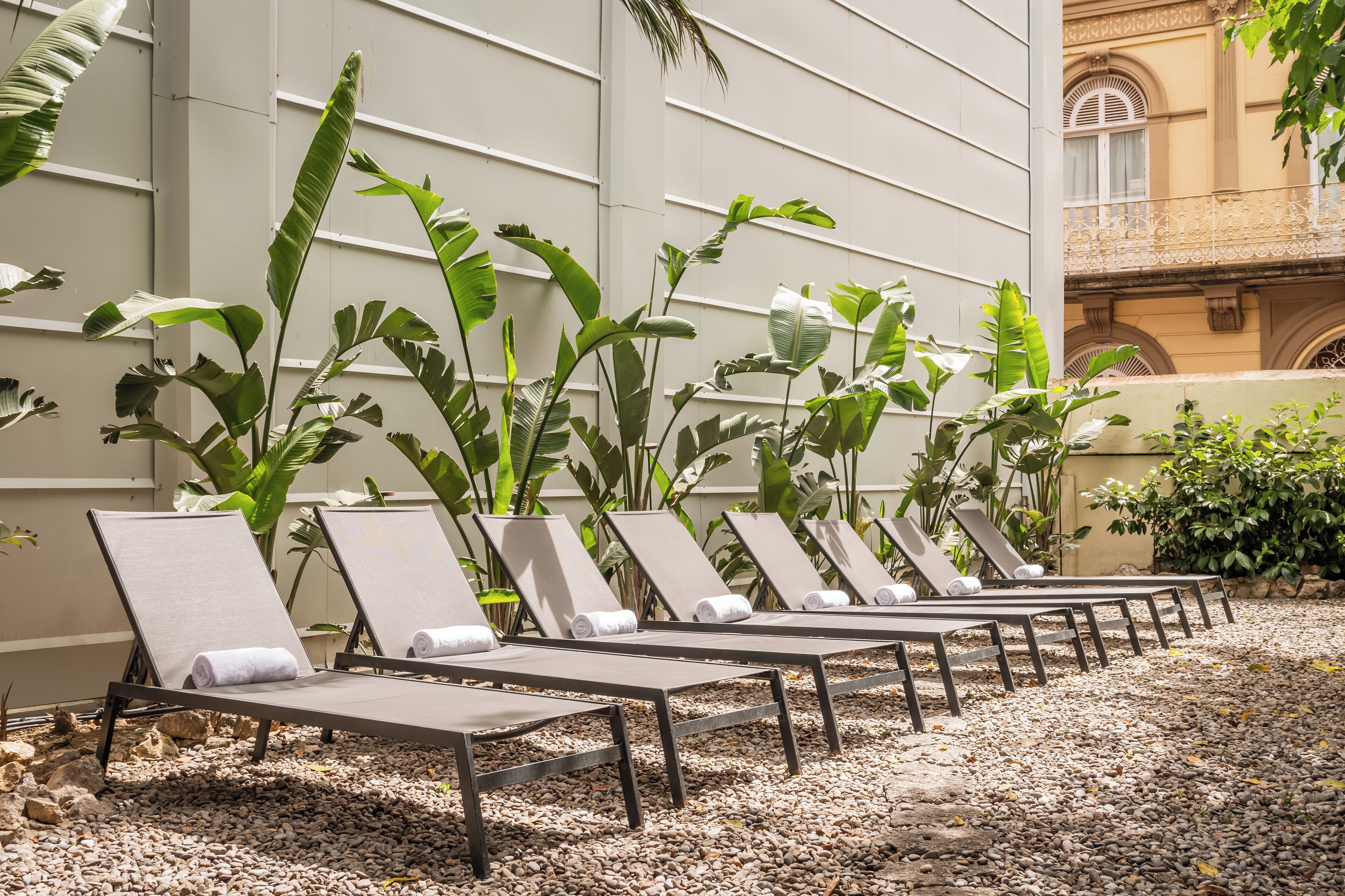 A row of sun loungers with towels, surrounded by large tropical plants, on a pebble surface.