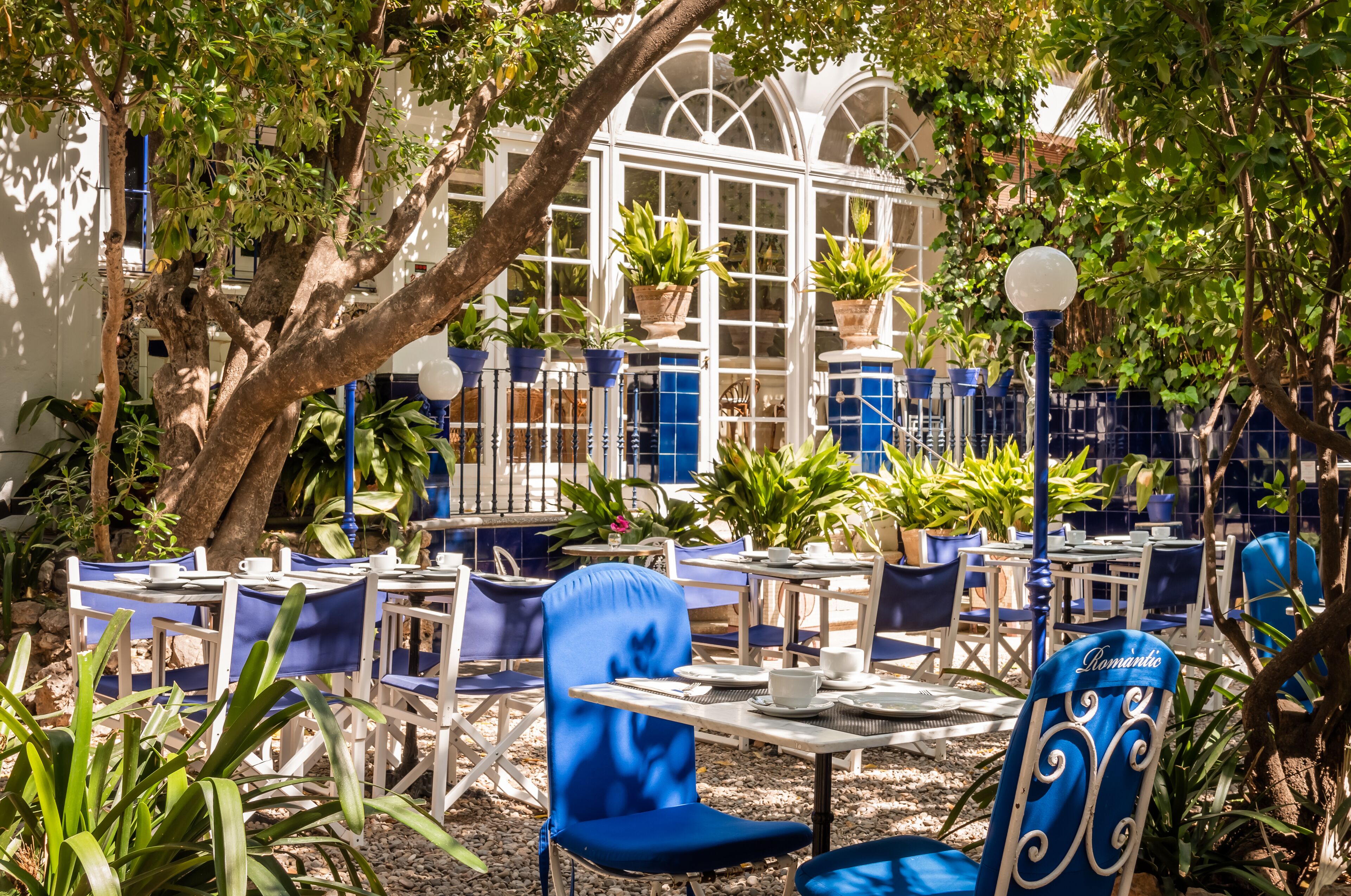 Café al aire libre con mesas y sillas, rodeado de plantas en macetas y árboles.