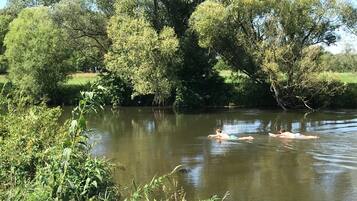 A river with two people swimming.