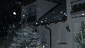 A snow-covered Christmas tree with lights and a reindeer decoration in front of a building. - Gäste- und Boardinghaus Klara Birnbaum (Erlangen)