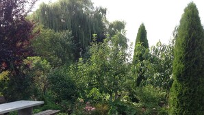 A garden with a stone bench and a variety of trees and shrubs. - Gäste- und Boardinghaus Klara Birnbaum (Erlangen)
