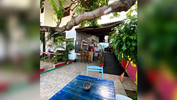 An outdoor seating area with a blue table and chairs, surrounded by potted plants and a tree. - Kuara Hostel Natal (Parnamirim)