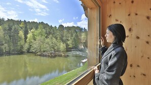Una persona de pie junto a una ventana con vista a un lago, un muelle de madera y un puente.